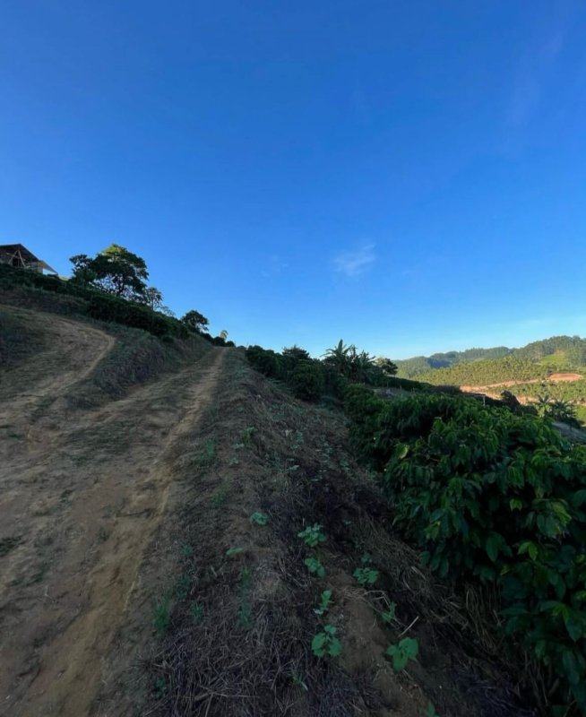 Lotes em Patrimônio da Penha – foto 3