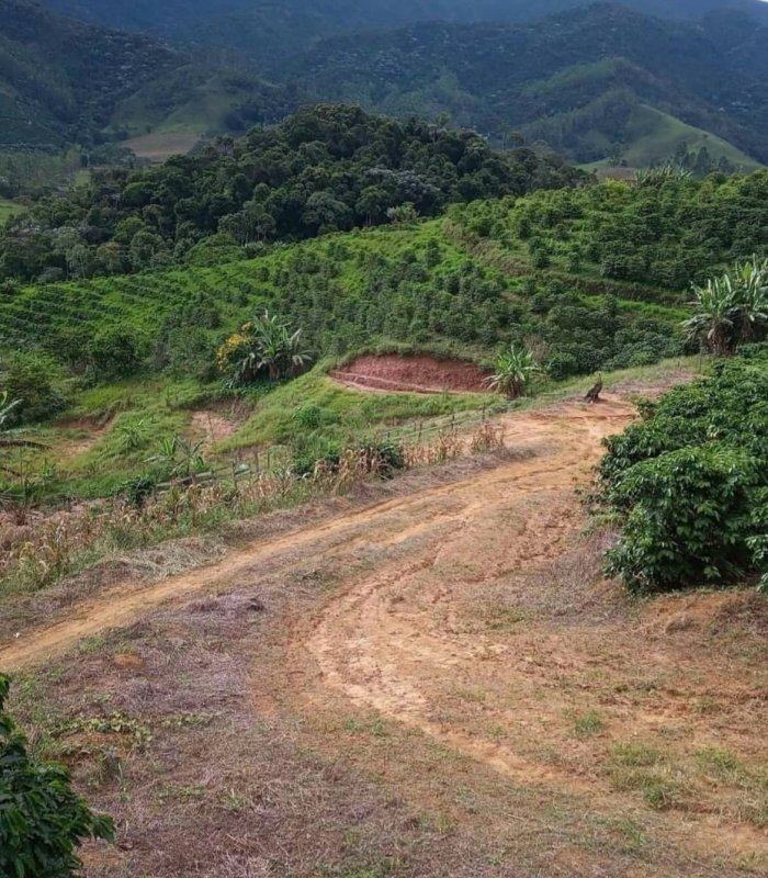 Lotes em Patrimônio da Penha – foto 4