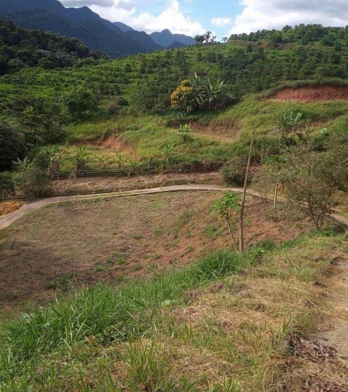 Lotes em Patrimônio da Penha – foto 5