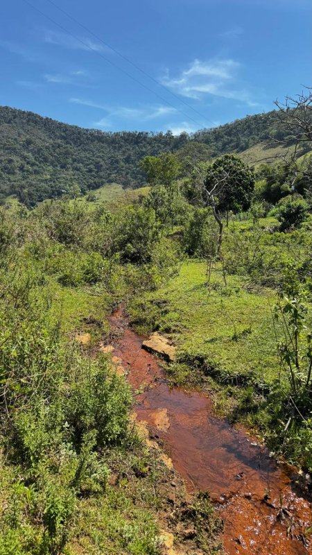Propriedade rural em São José do Calçado (ES) – foto 2