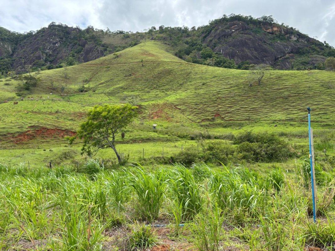 Fazenda em Mutum (MG) – foto 3