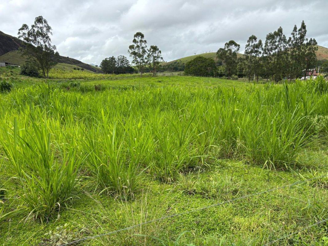 Fazenda em Mutum (MG) – foto 4