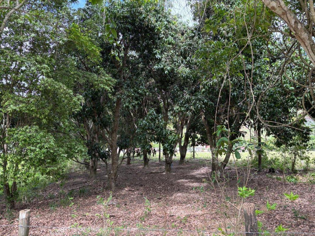 Fazenda em Mutum (MG) – foto 5